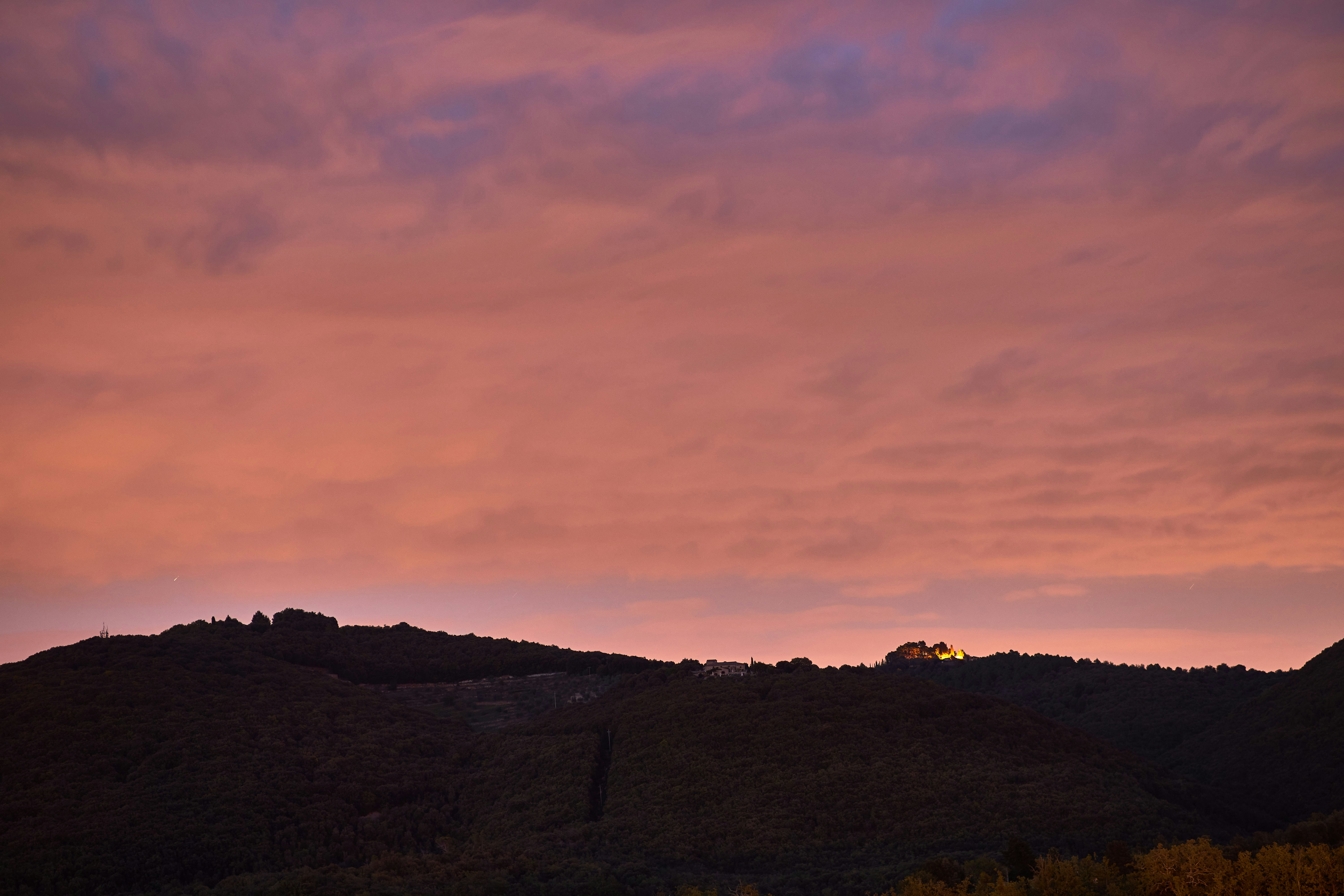 Photo by wolfgang_hasselmann