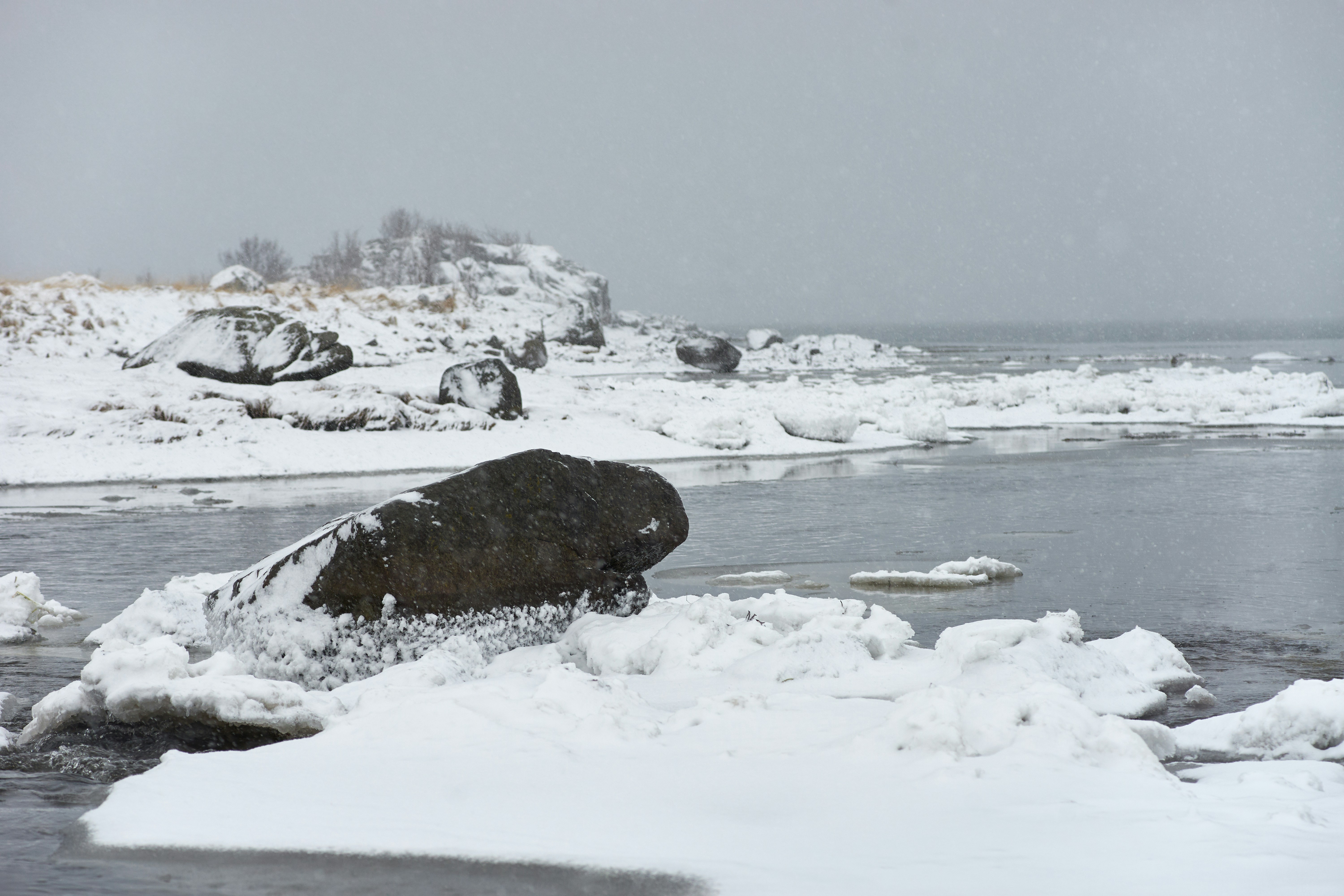 Photo by wolfgang_hasselmann