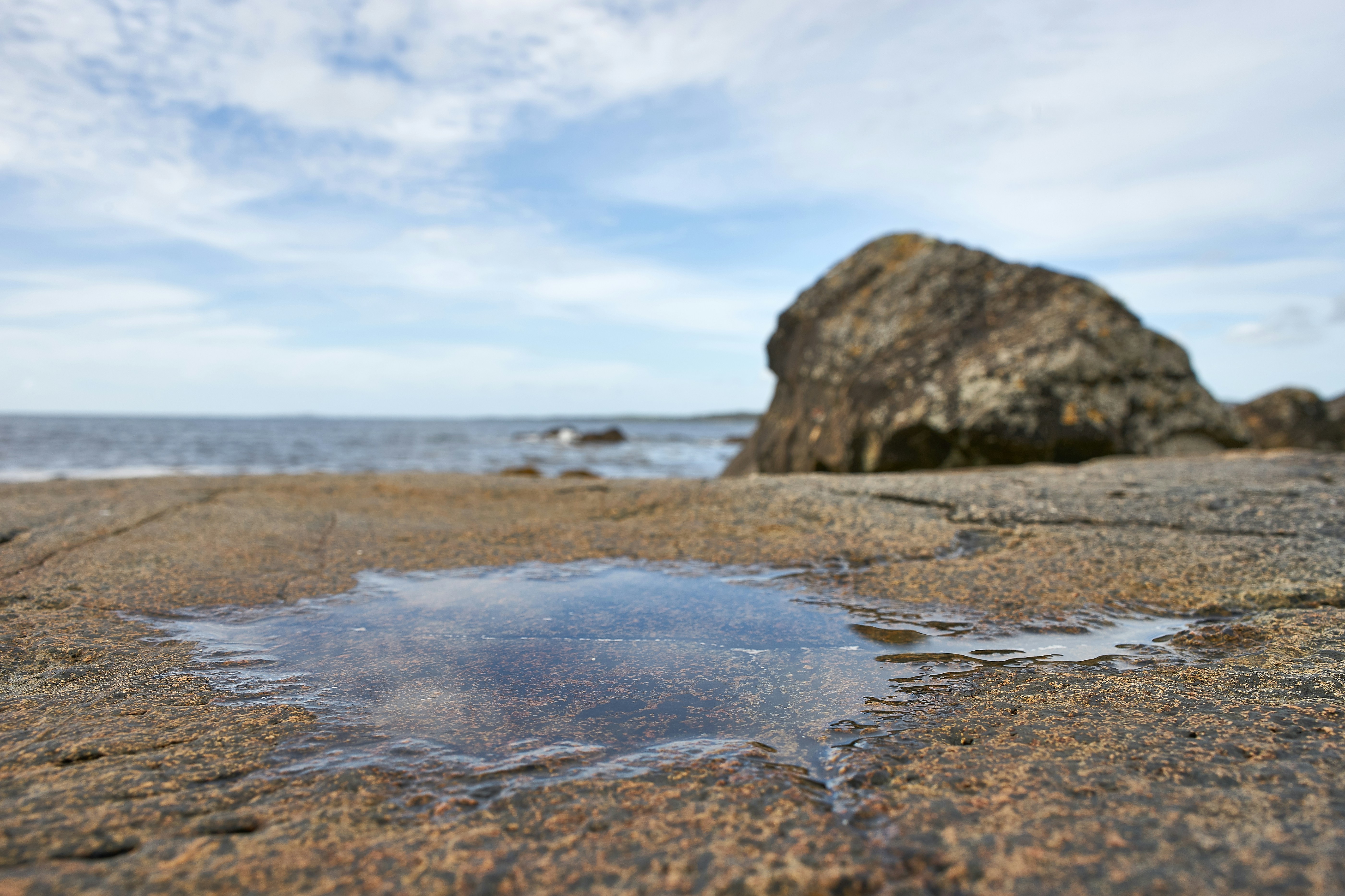 Photo by wolfgang_hasselmann