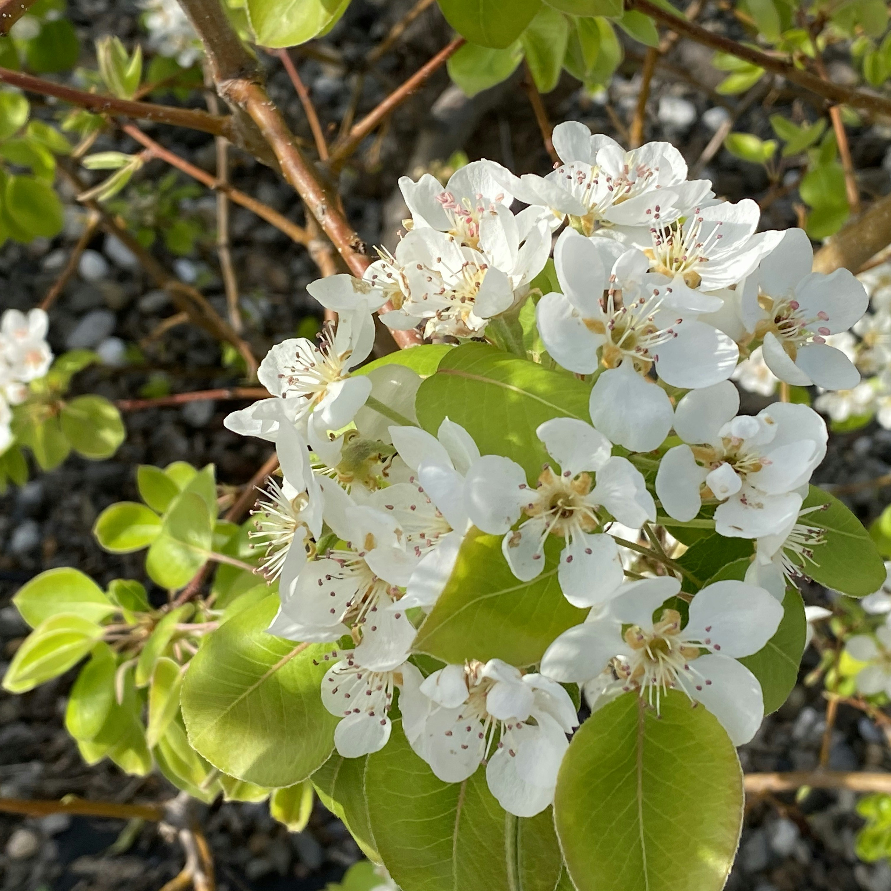 Photo by john_cameron