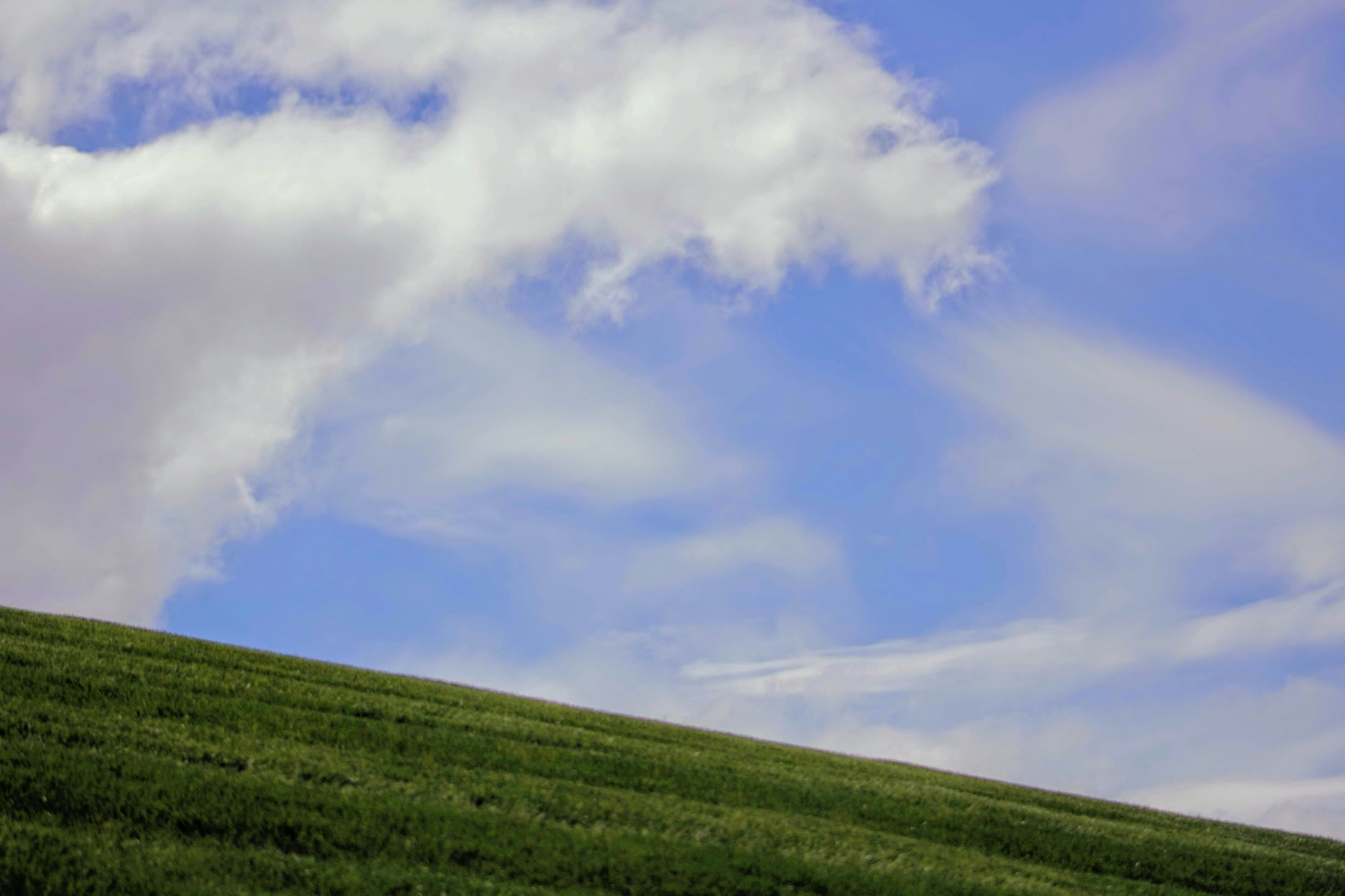 Photo by joshua_hoehne