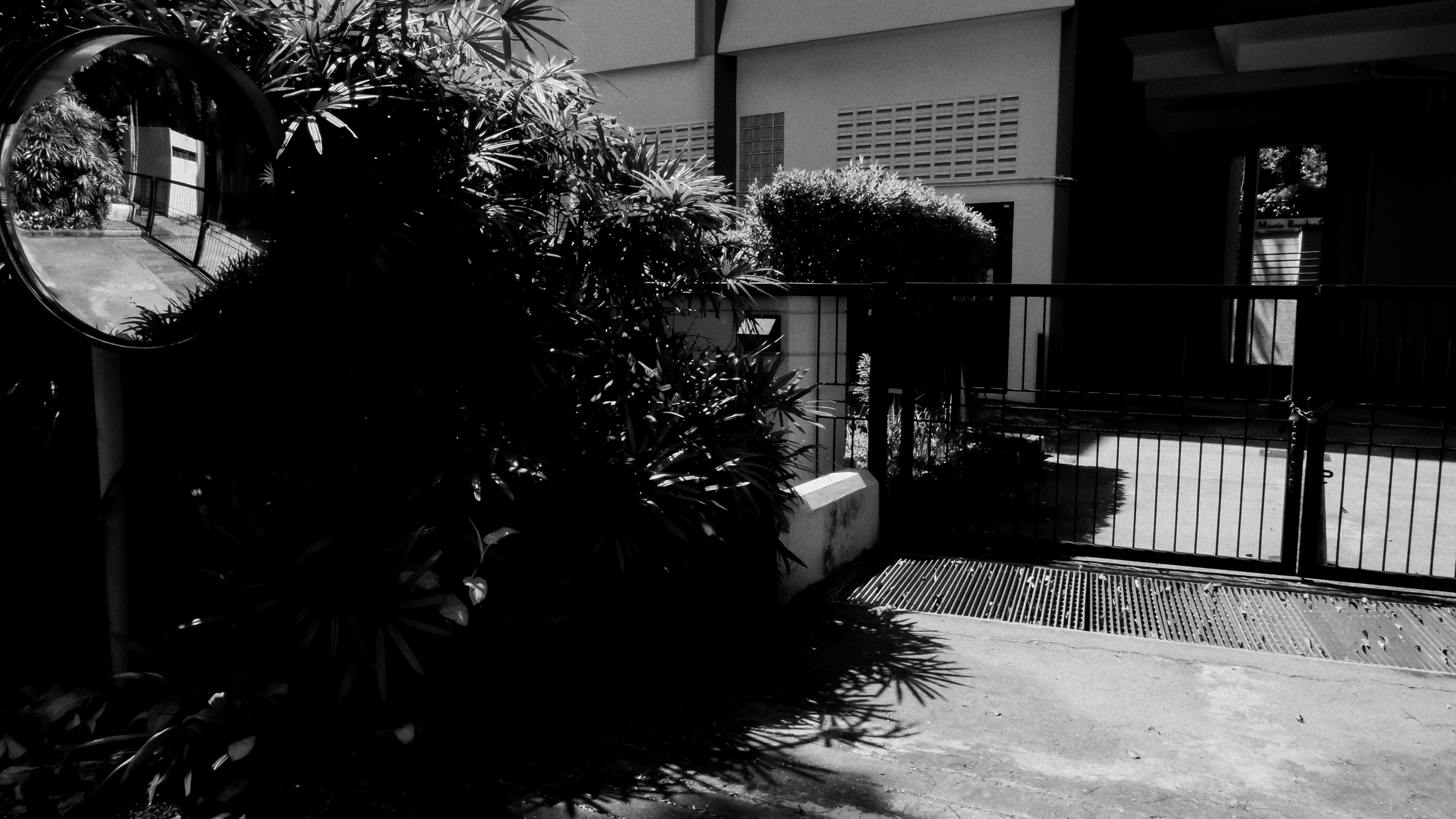 Photo by gervynlouis