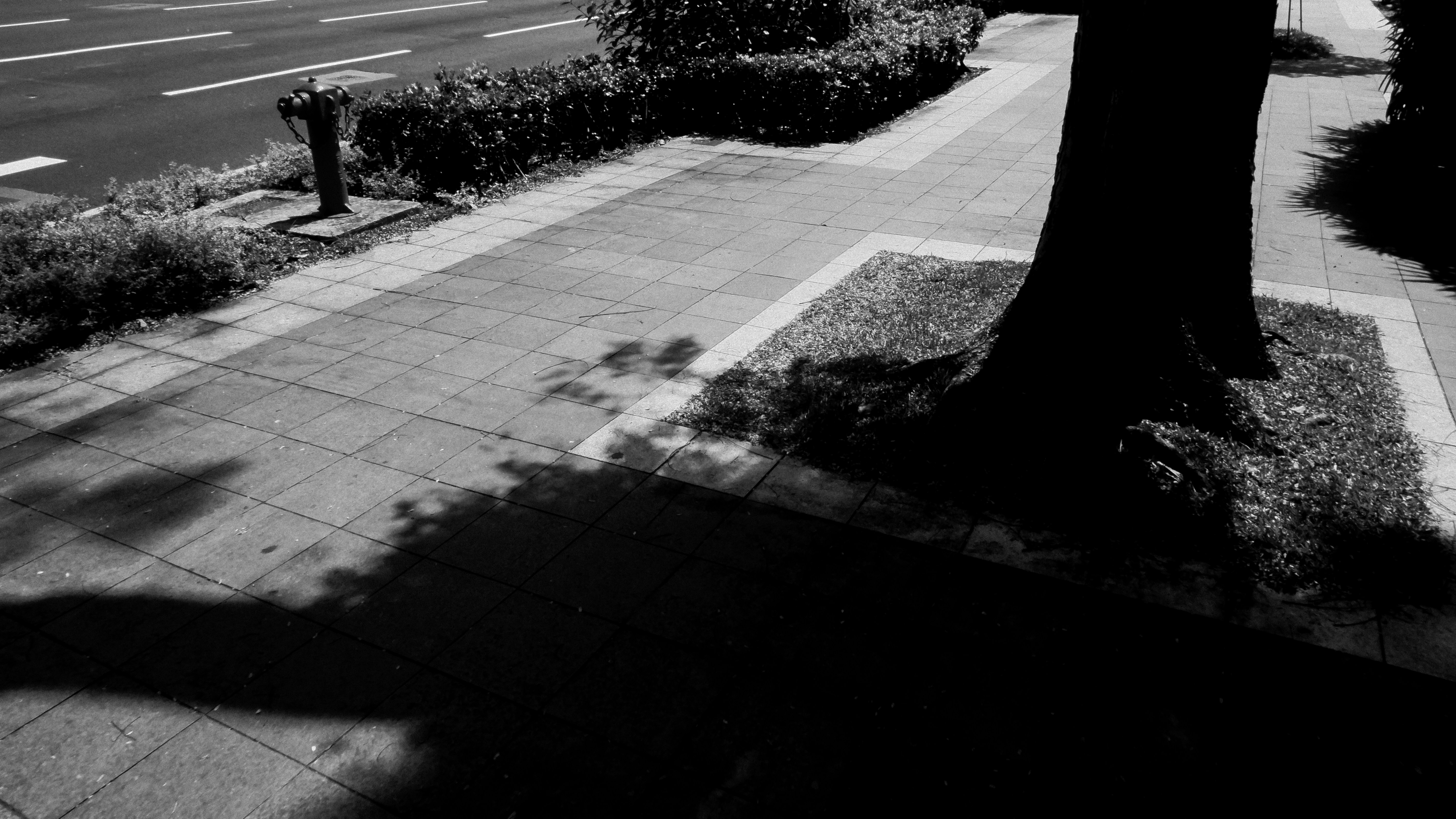 Photo by gervynlouis