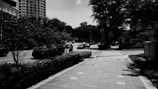A monochrome photograph of a city street scene. The image captures a sidewalk leading towards a crosswalk and a road. Several vehicles are traveling on the road with some trees and a large building in the background. Shadows from trees and objects create contrasts on the pavement, adding texture to the scene.