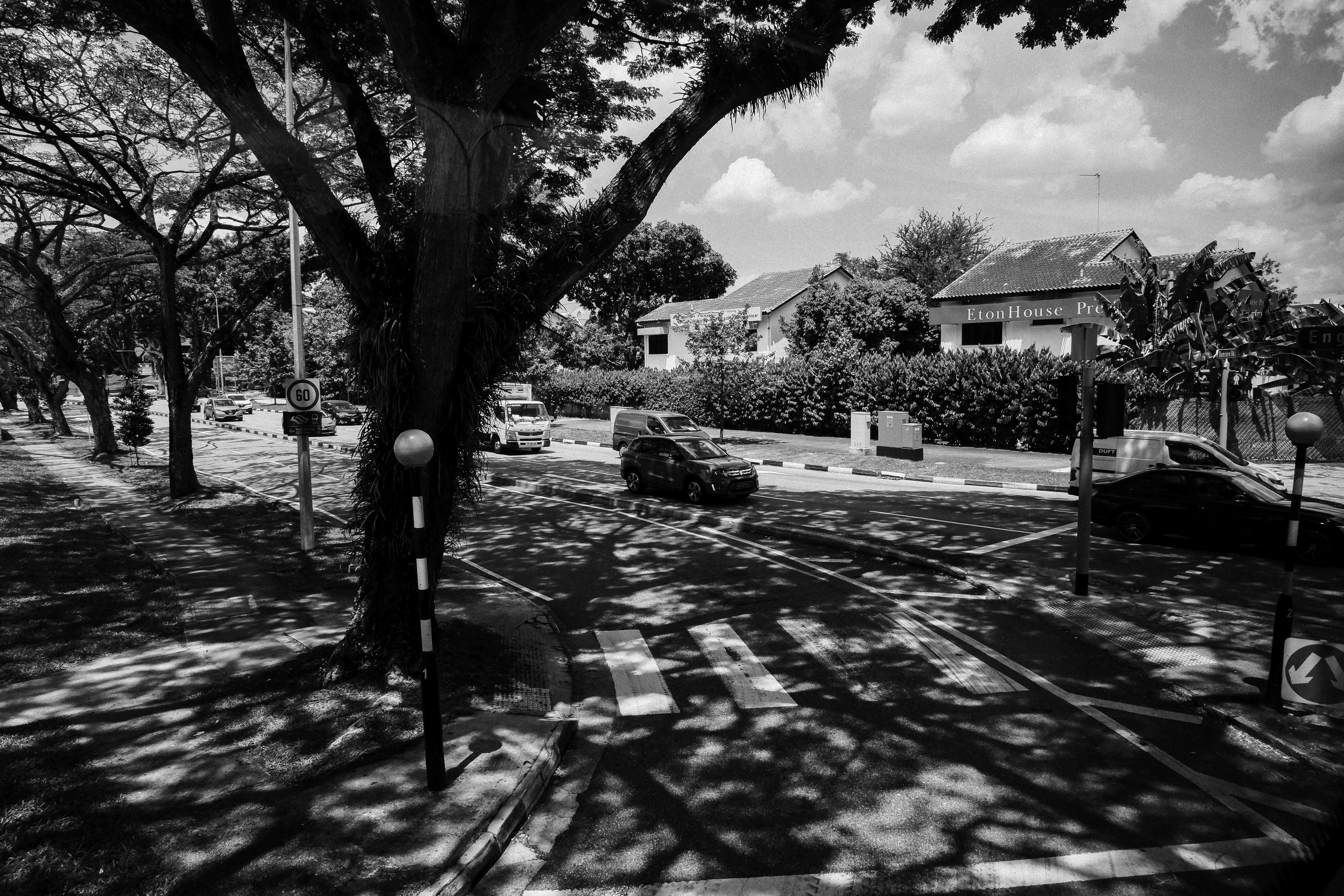 Urban plantation area