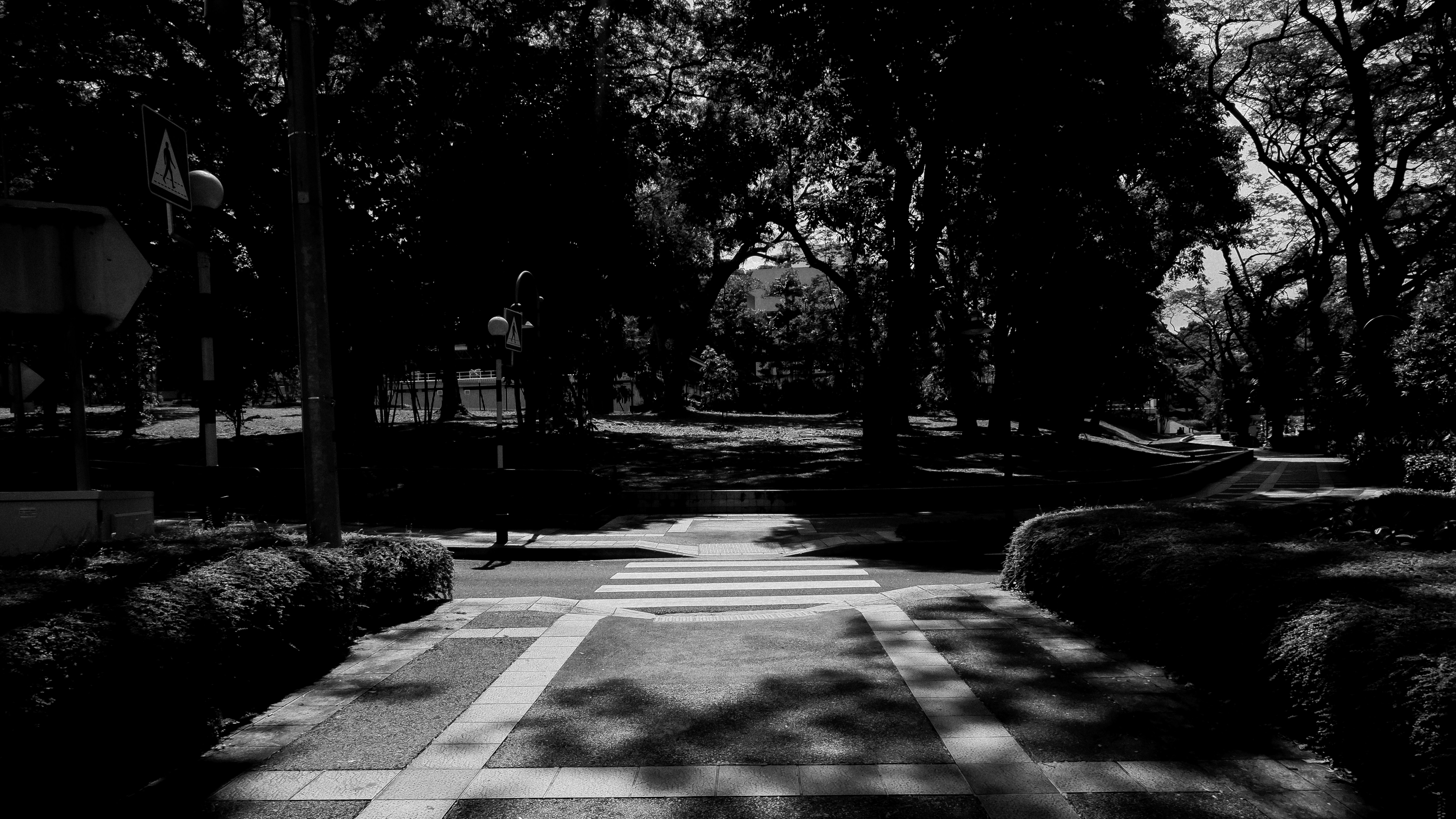 Photo by gervynlouis