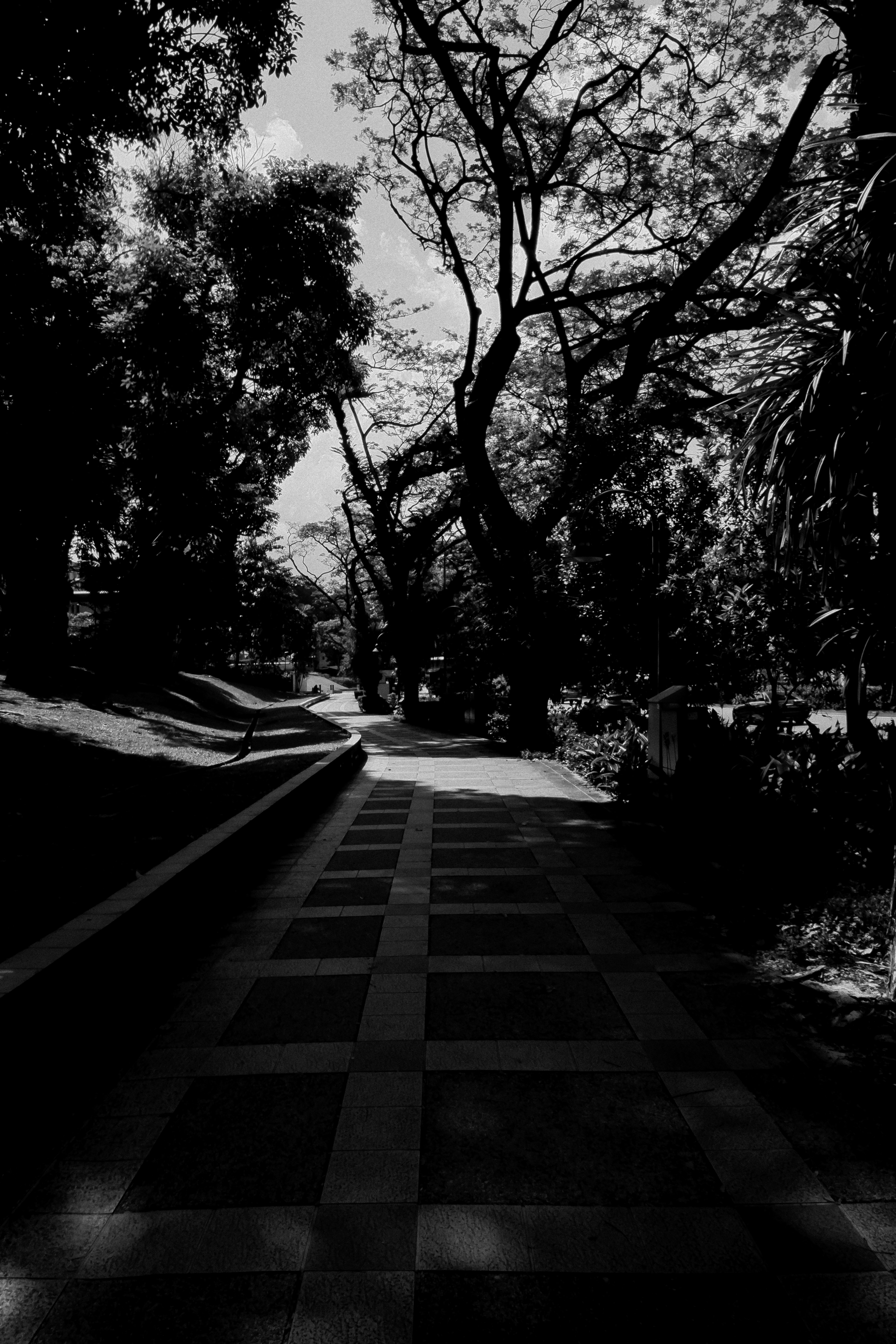 Photo by gervynlouis