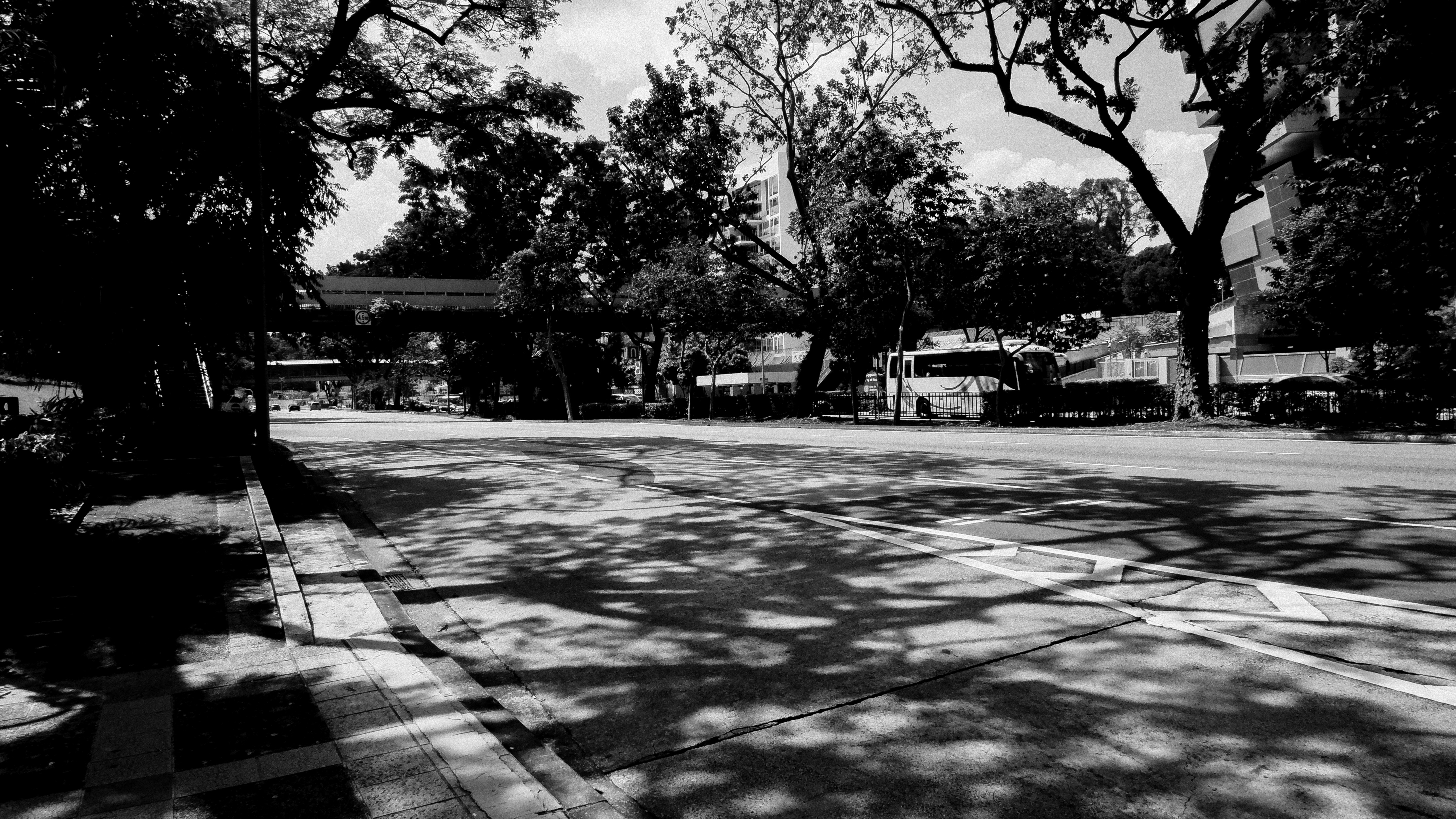 Photo by gervynlouis