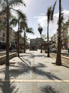 green palm trees near white concrete building during daytime