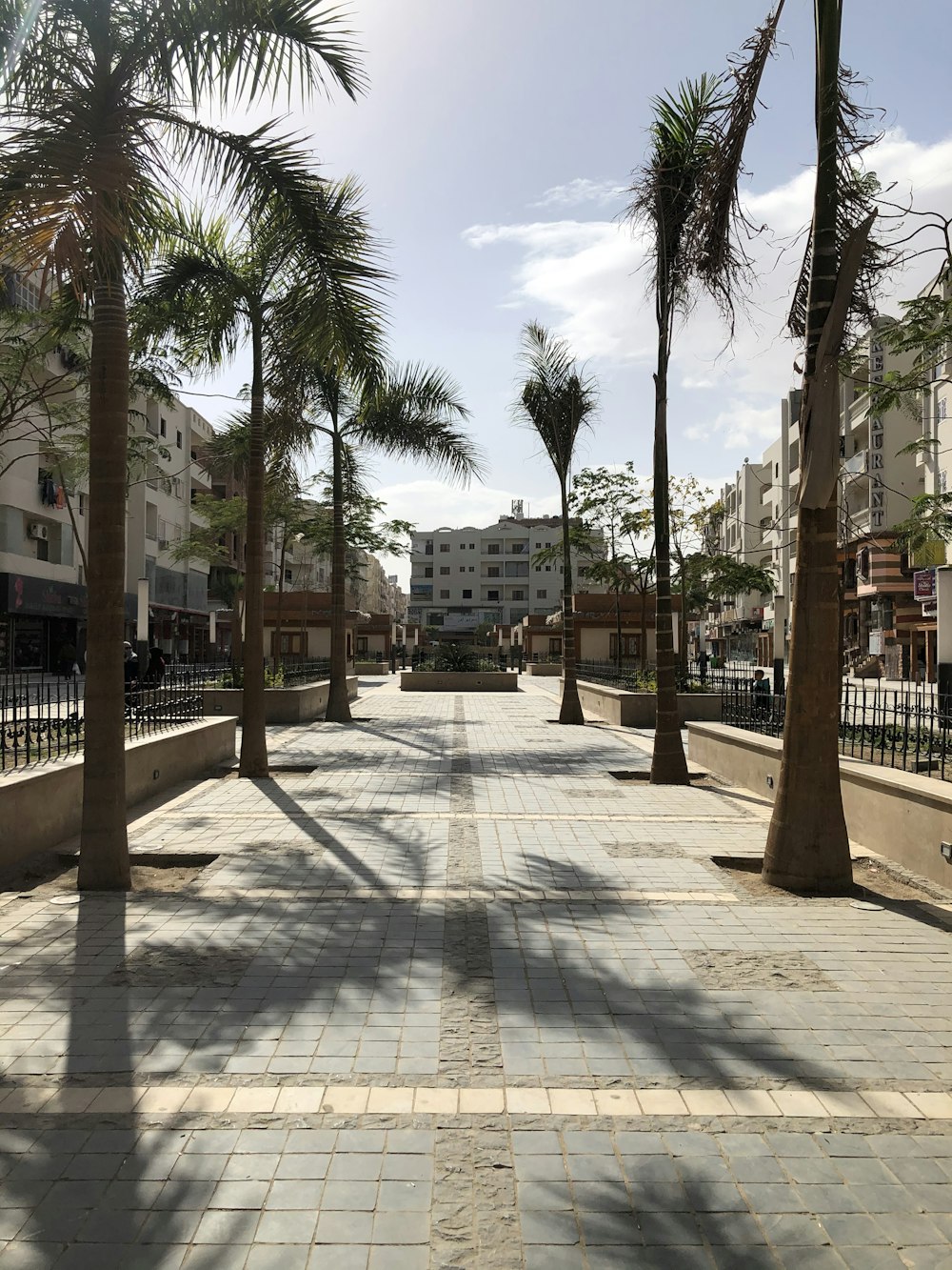 green palm trees near white concrete building during daytime