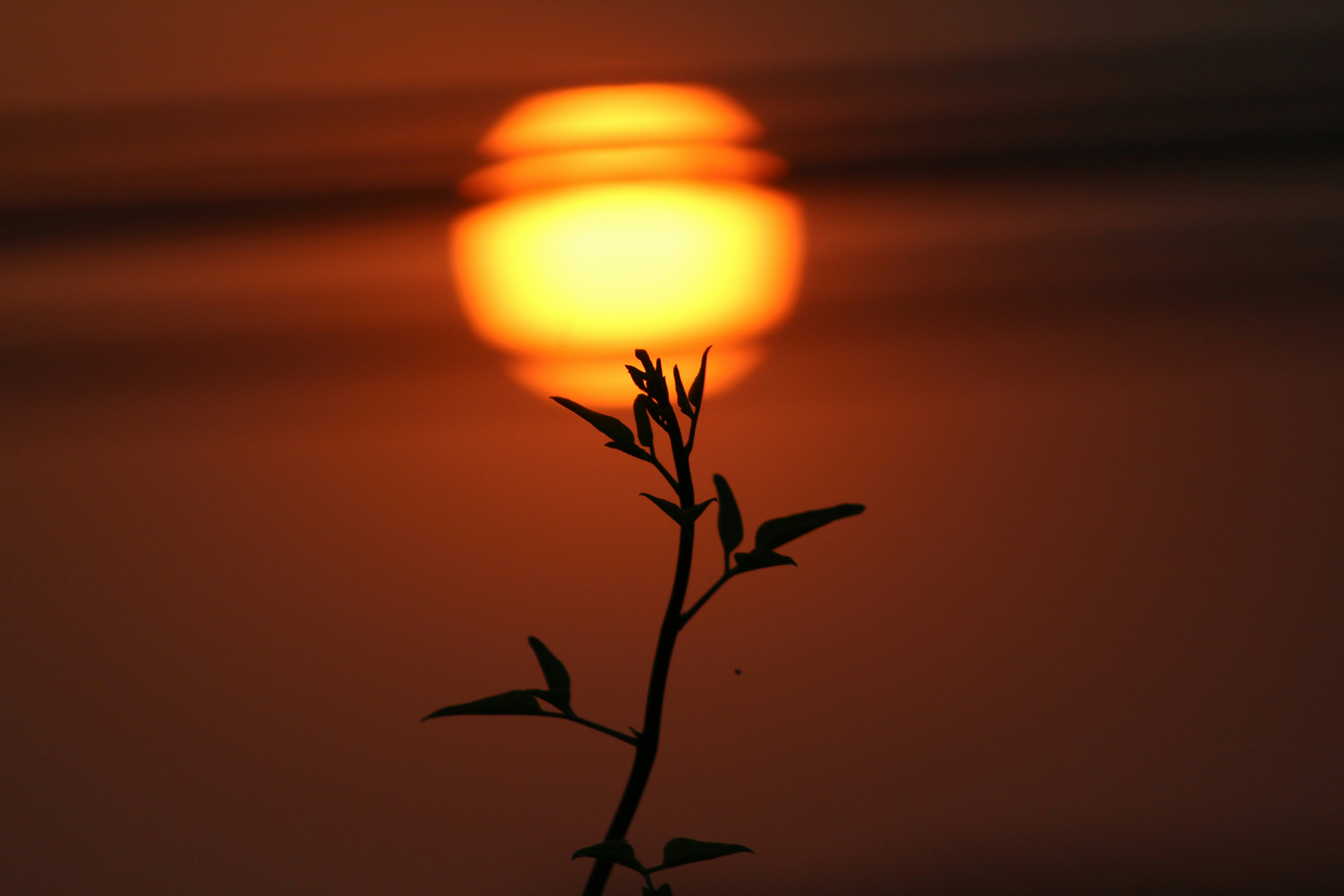 Photo by srini2srinivas