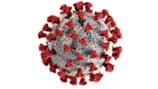 Detailed visualization of a virus structure with dynamic particle movement.