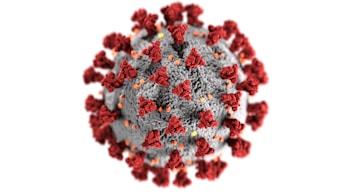 3D rendering of targeted drug delivery nanoparticles.