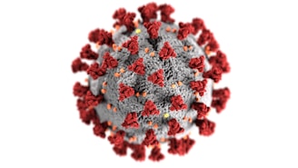 3D rendering of targeted drug delivery nanoparticles.