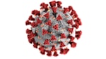 NIAID Pursuing Next-Generation “Pan-Coronavirus” Vaccines