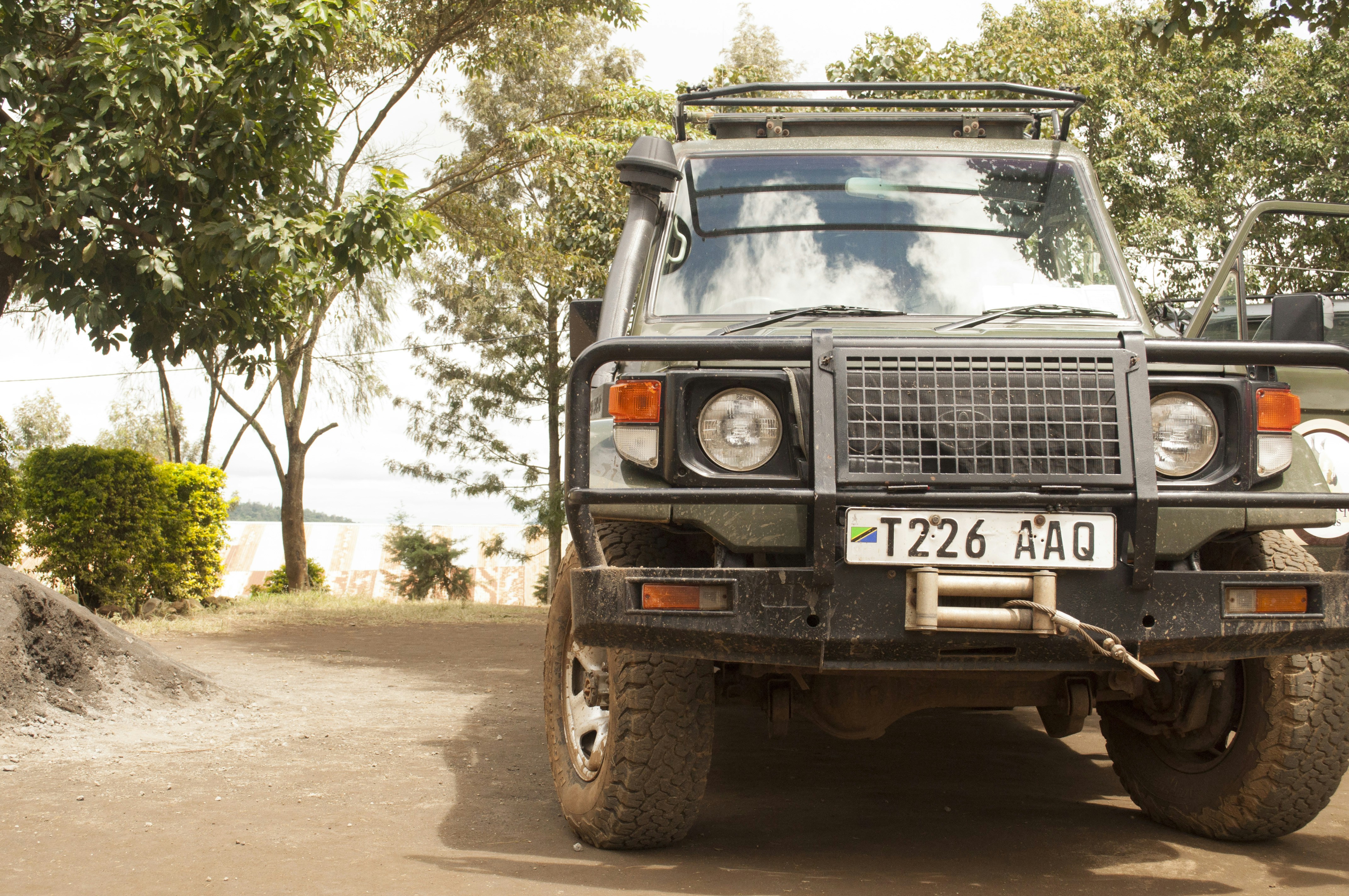 Photo by officiallyeu