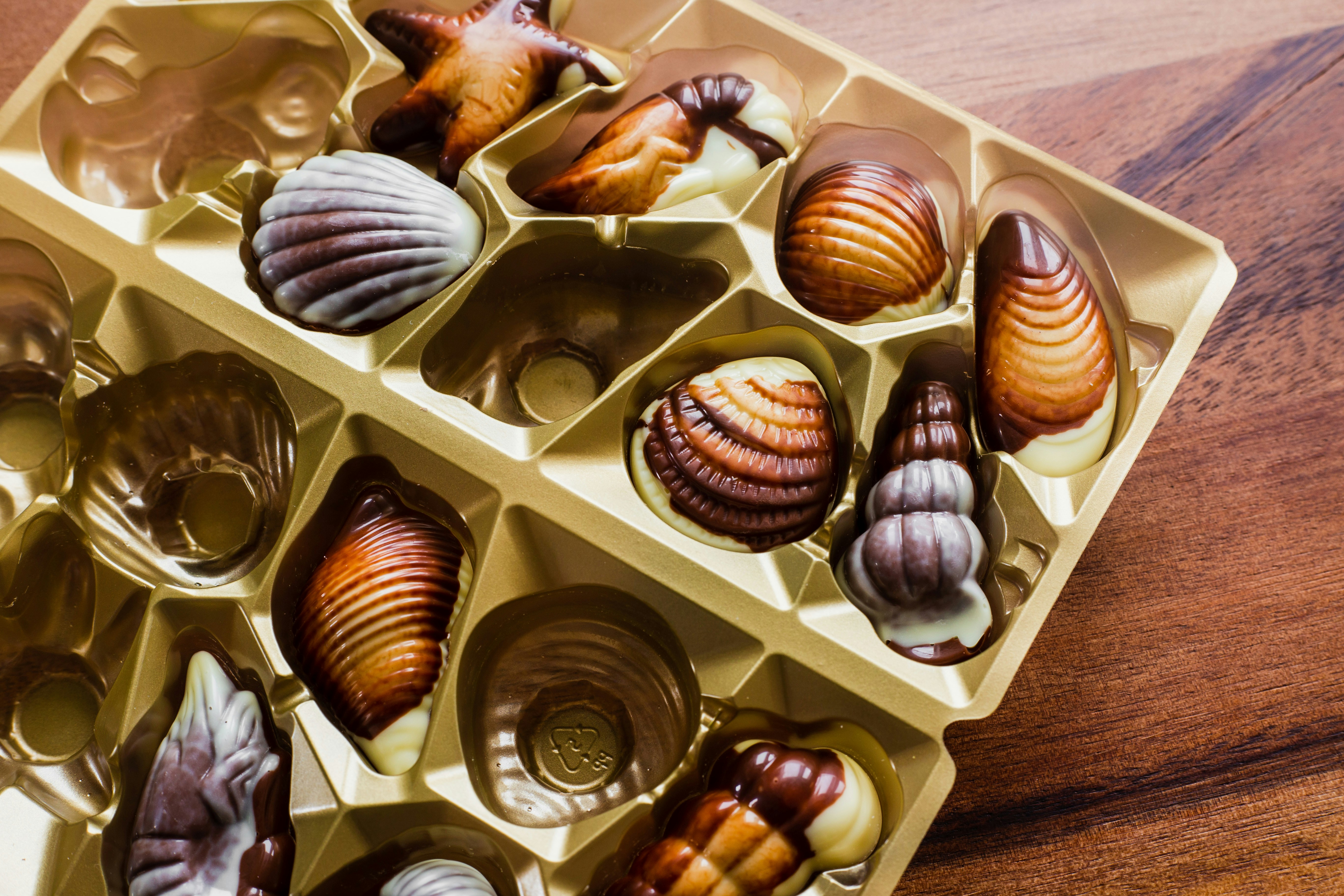 Brown and white seashell on white wooden shelf