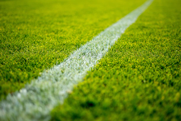 green grass field during daytime