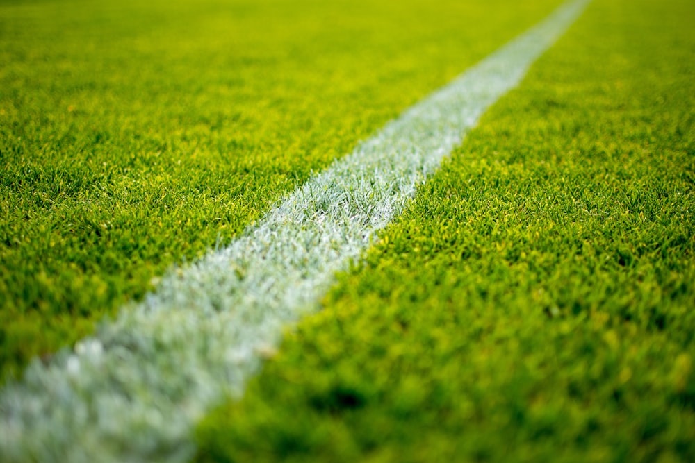 green grass field during daytime