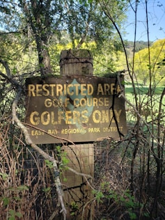 brown wooden signage on brown tree