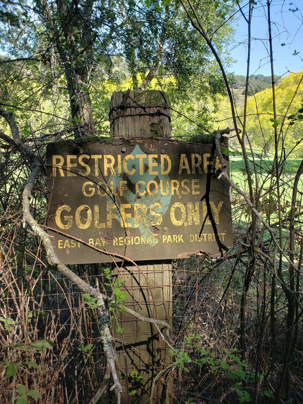 brown wooden signage on brown tree