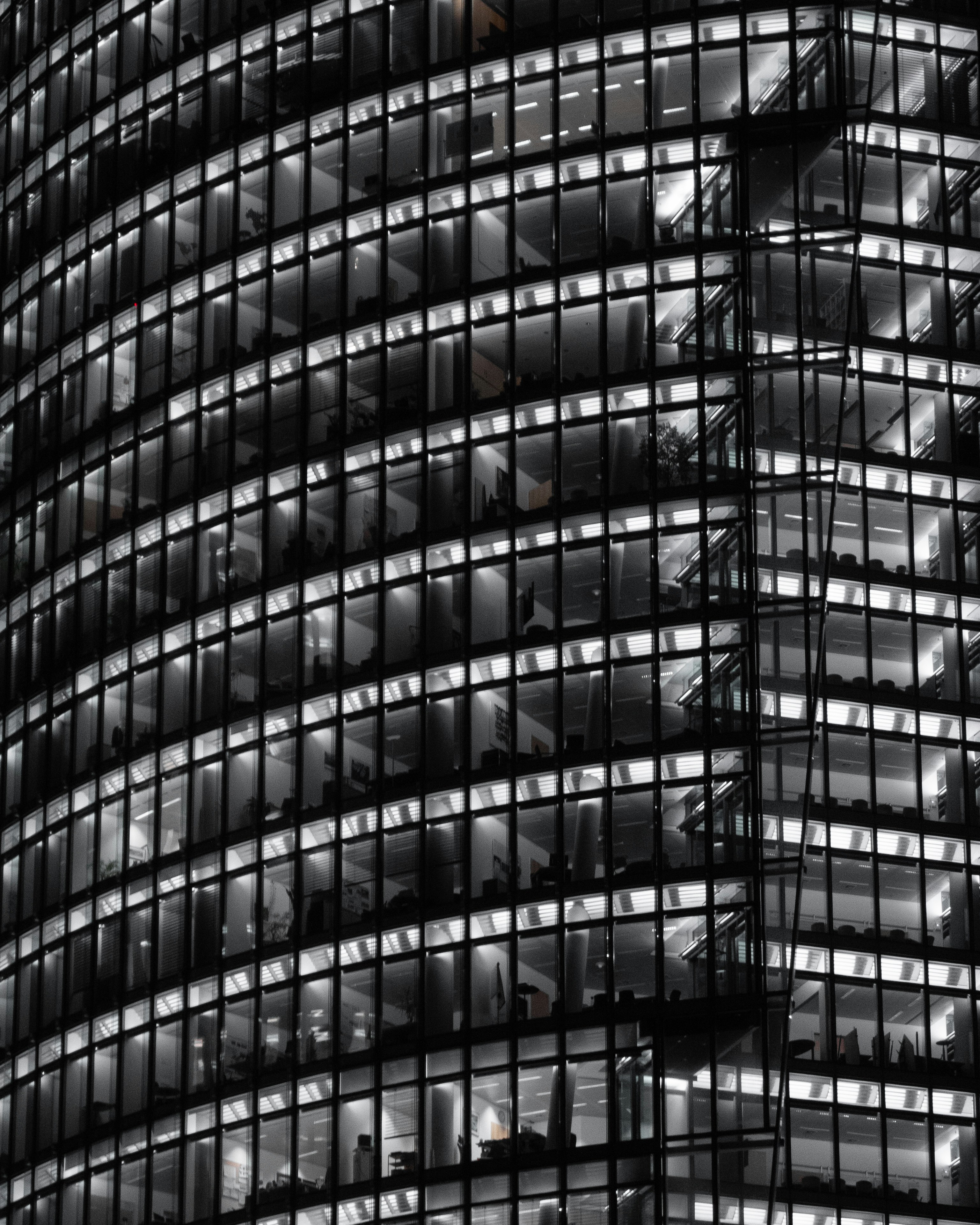 Photo by adrianxsusec