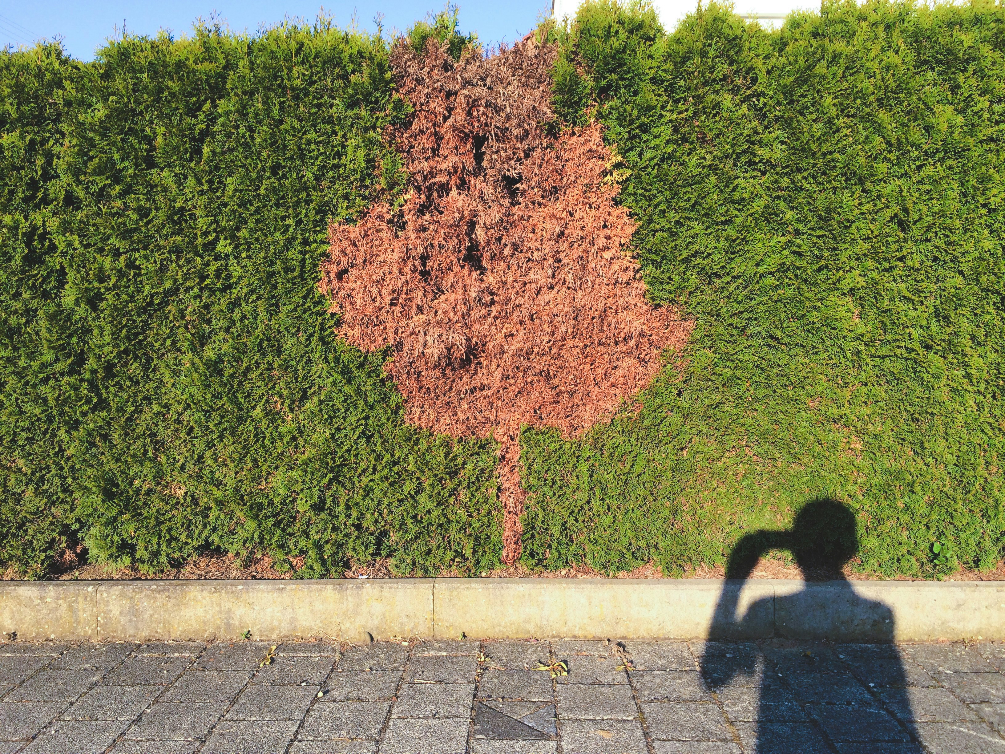 Mujer en vestido negro caminando en la acera durante el día