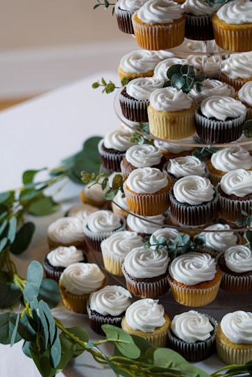 cupcakes on white ceramic plate