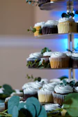 white and brown cupcakes on blue steel rack