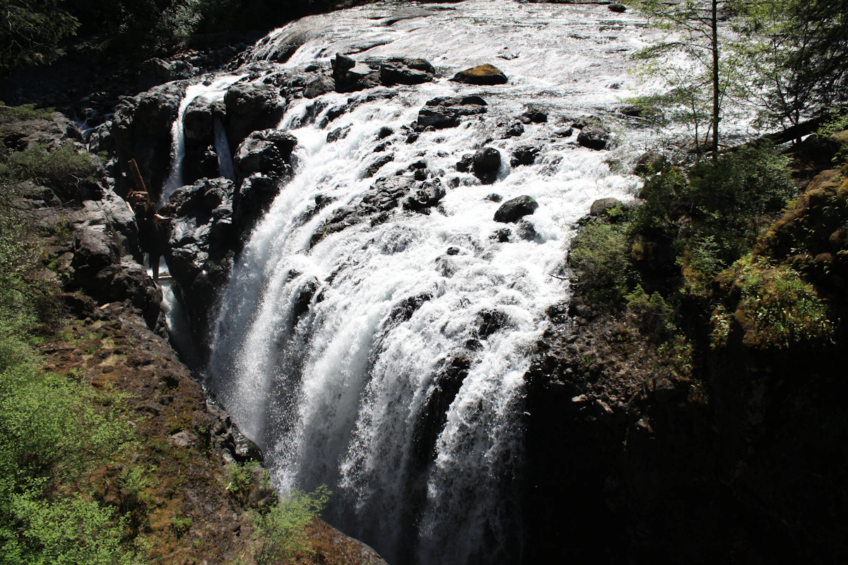 Englishman River Falls pouring through a rocky gorge, with green forest on both sides
