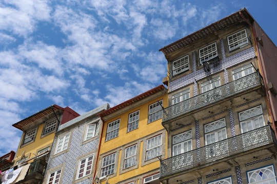 brown and white concrete building under blue sky during daytime in Jardins do Palácio de Cristal Portugal