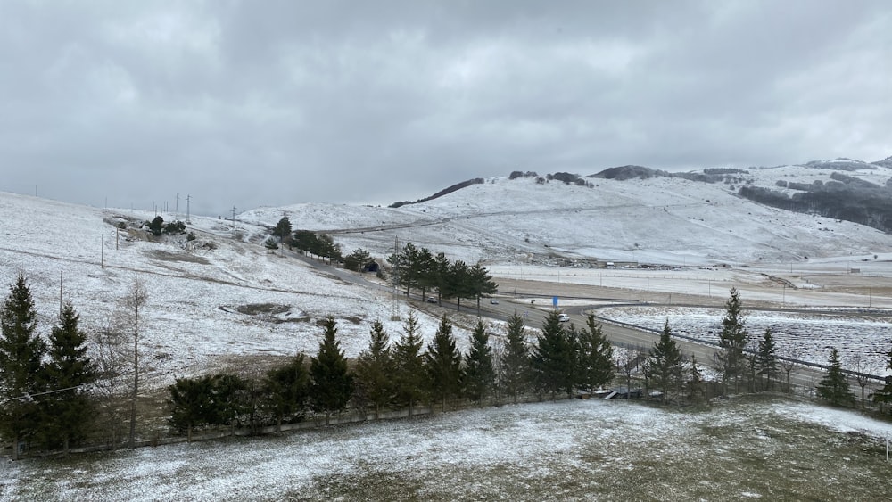 green trees on snow covered ground during daytime