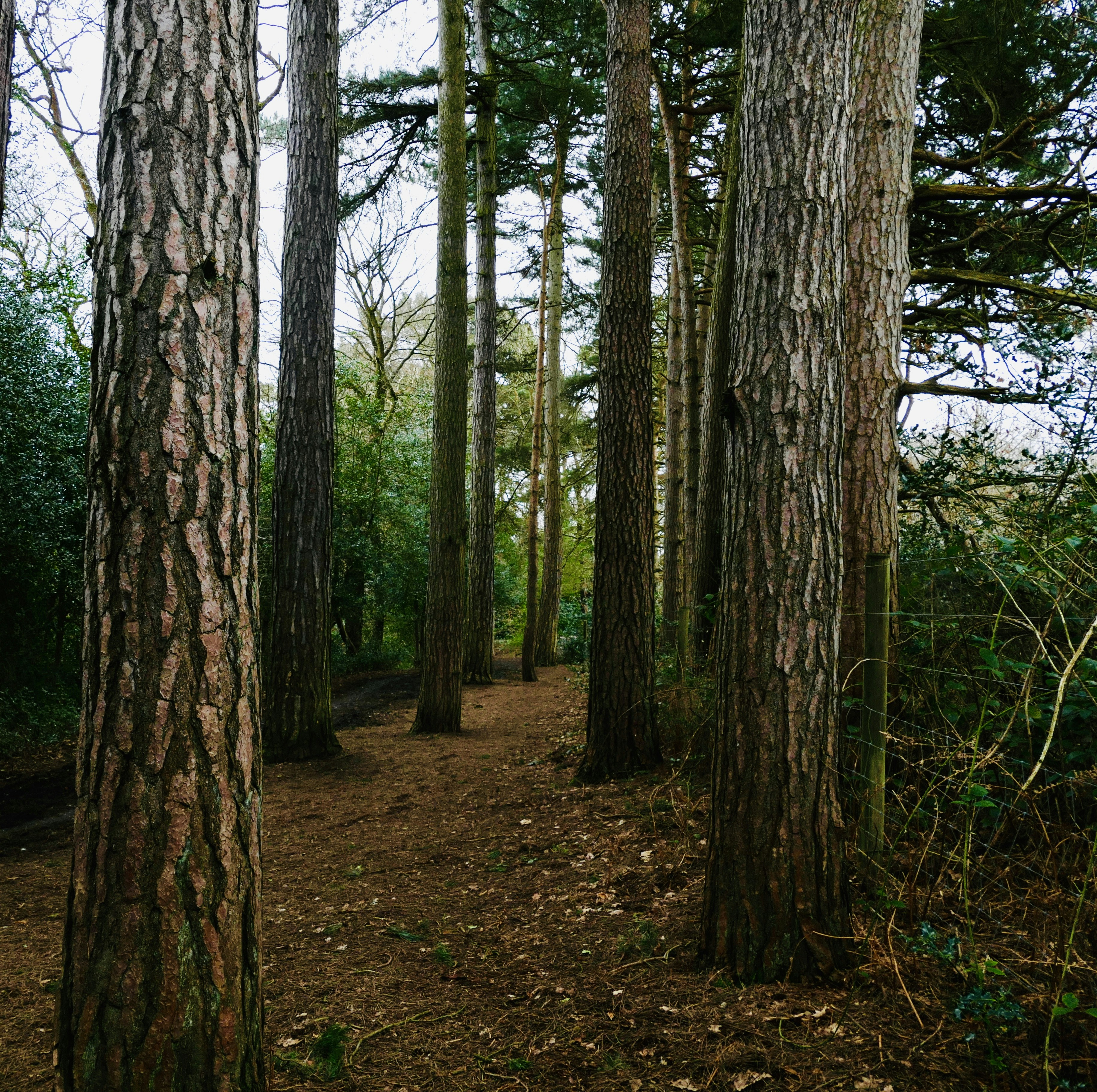 Photo by puffinadventures