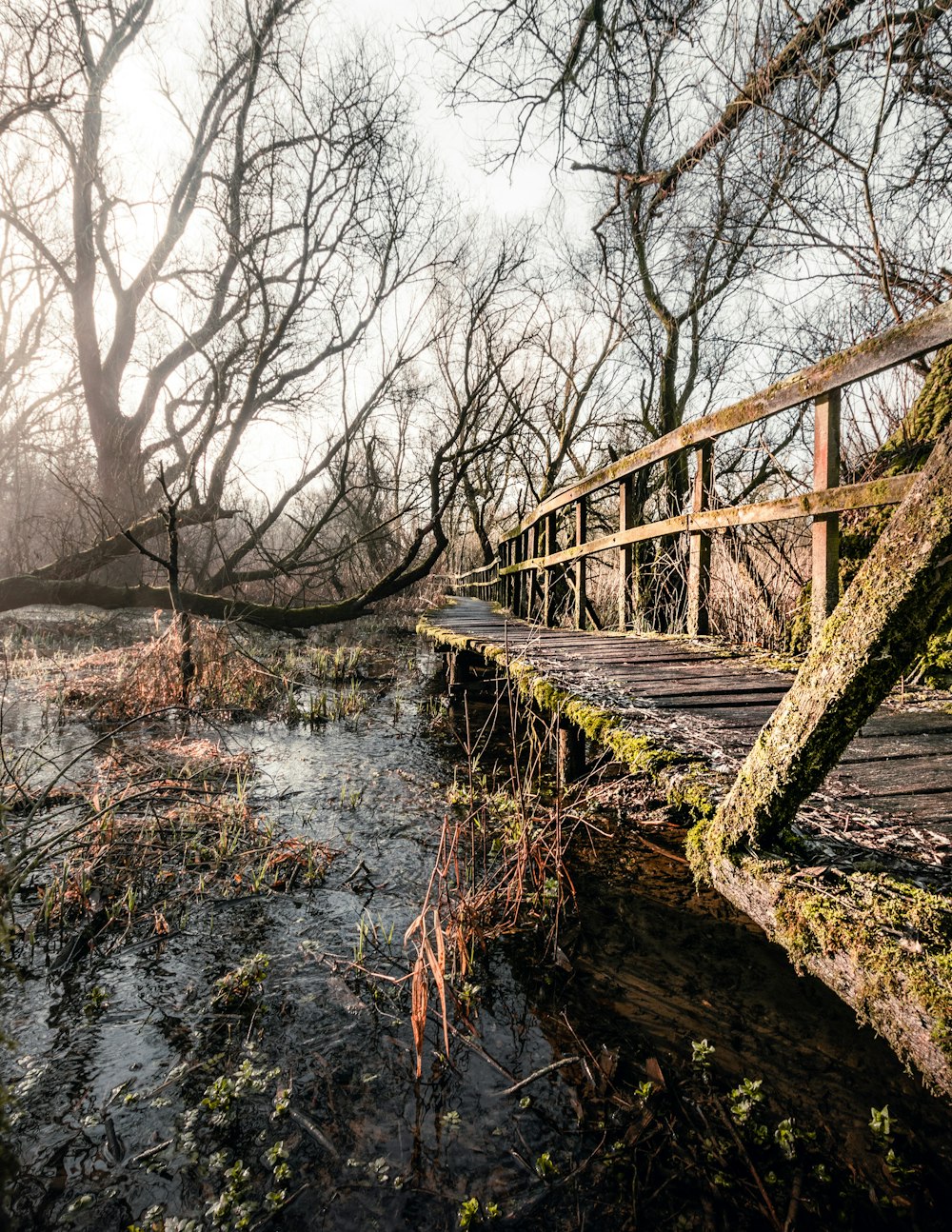 brown wooden bridge over river