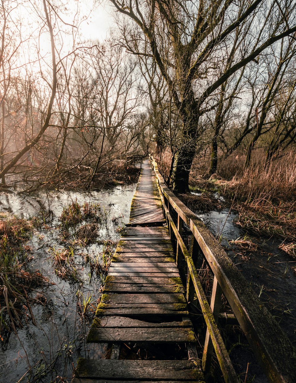 brown wooden bridge over river