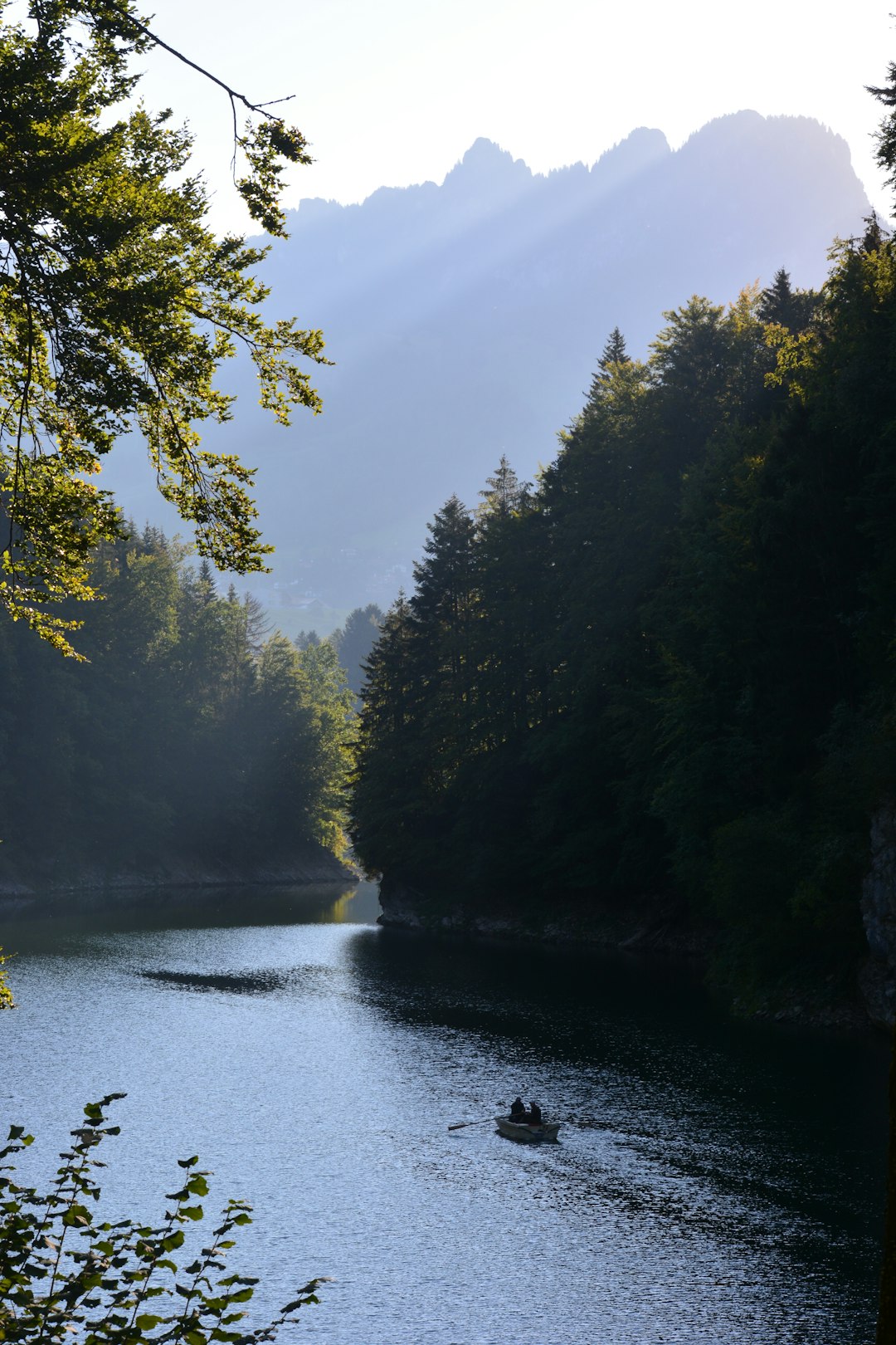 river between green trees under blue sky during daytime