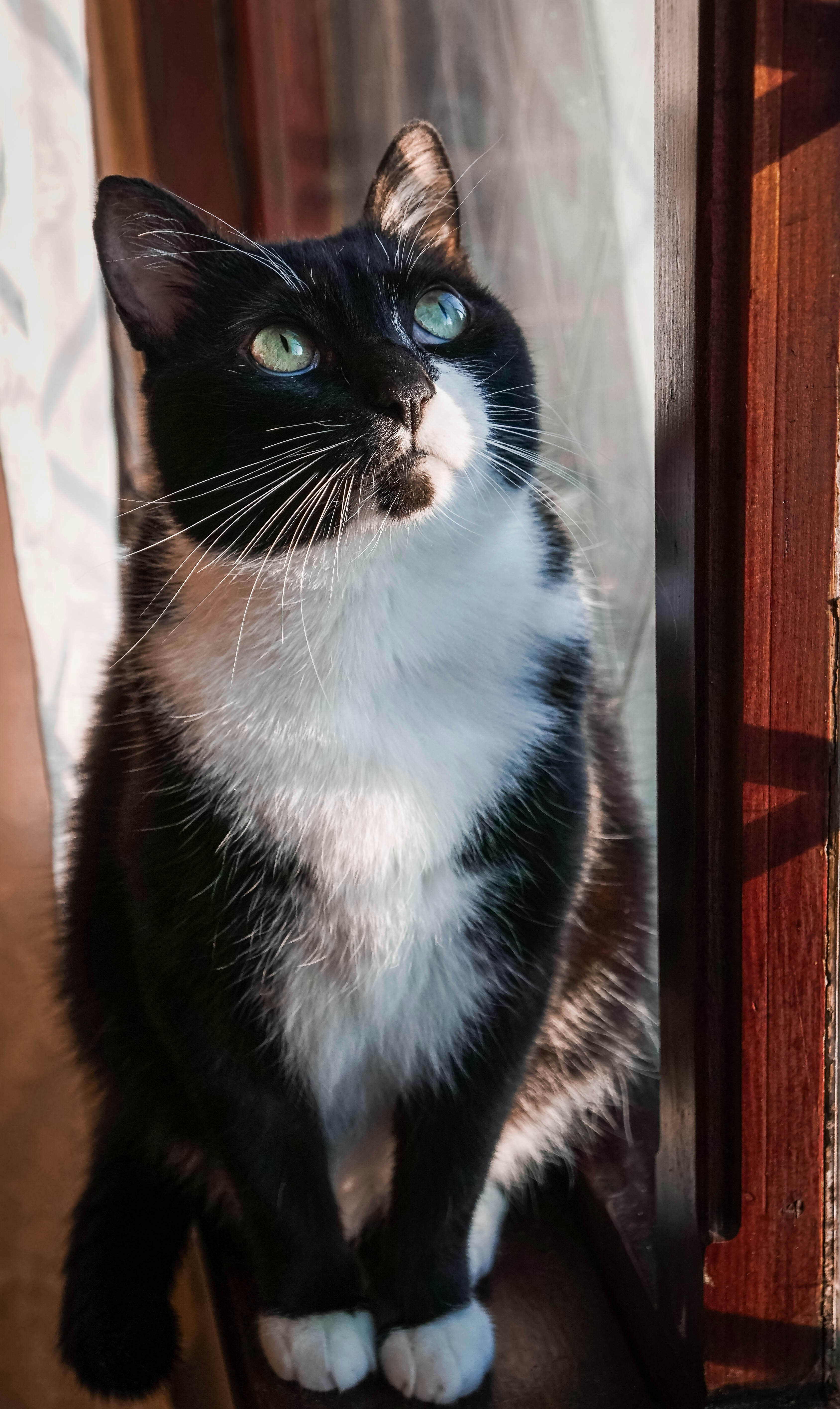 Photo by leonardozorzi