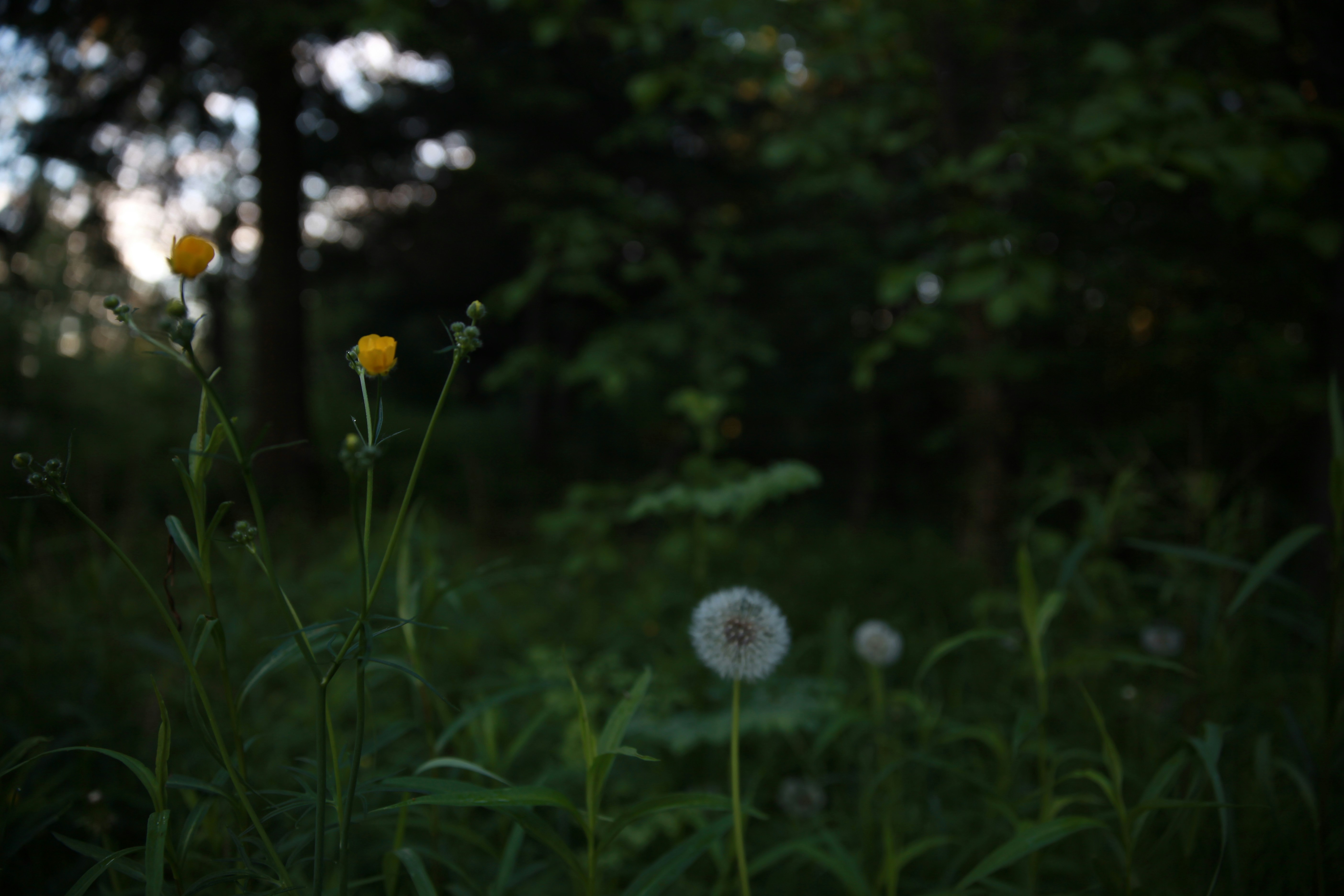 Photo by fannyc