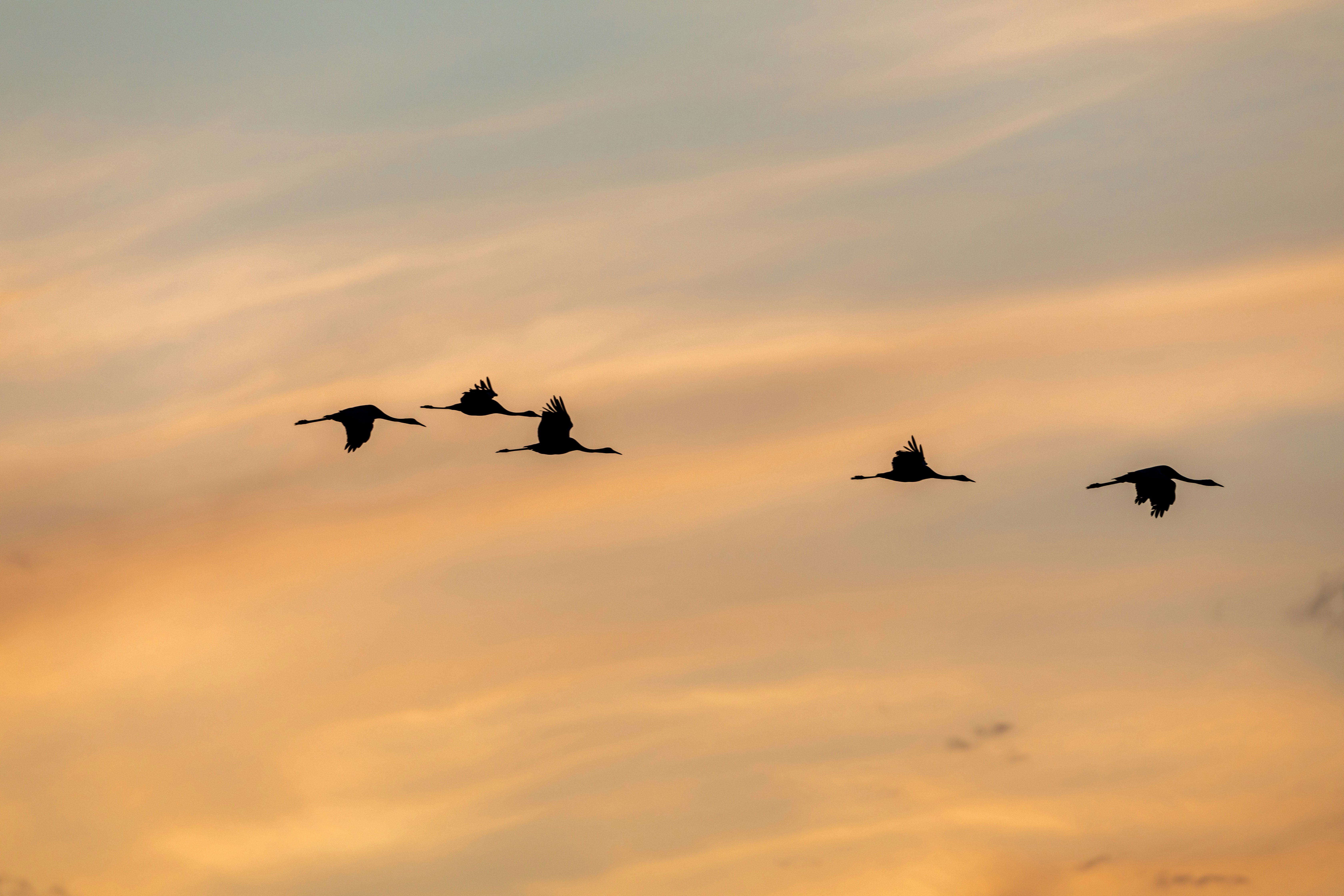 Photo by zmachacek