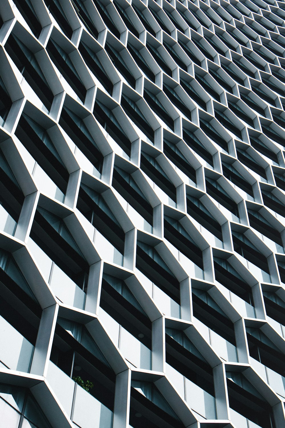 white and black glass windows