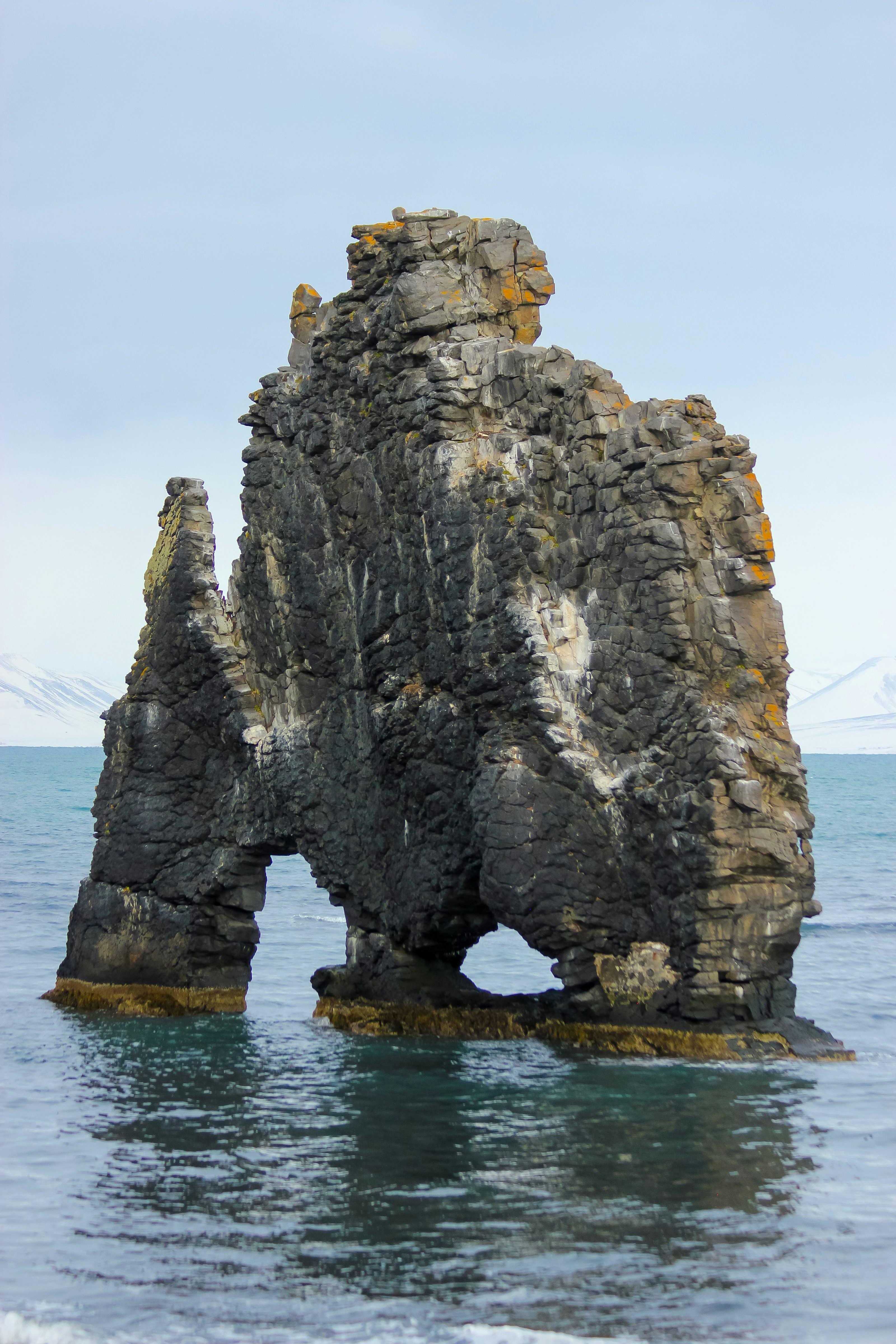 Photo by dallimonti