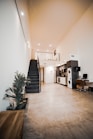 green plant beside white wall