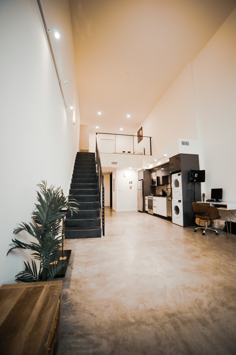 green plant beside white wall