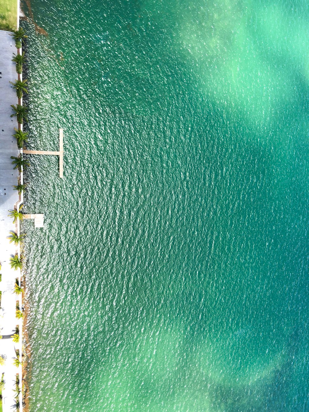 people on beach during daytime