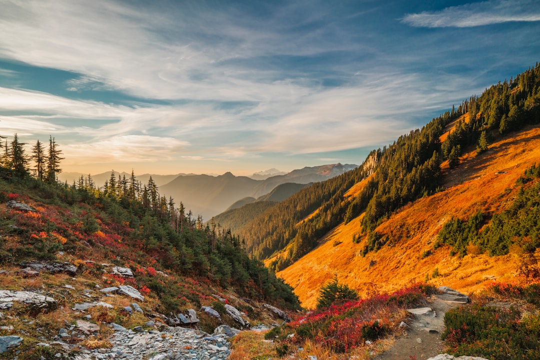 Unveiling Washington State&#8217;s Scenic Byways: A Road Trip Adventure