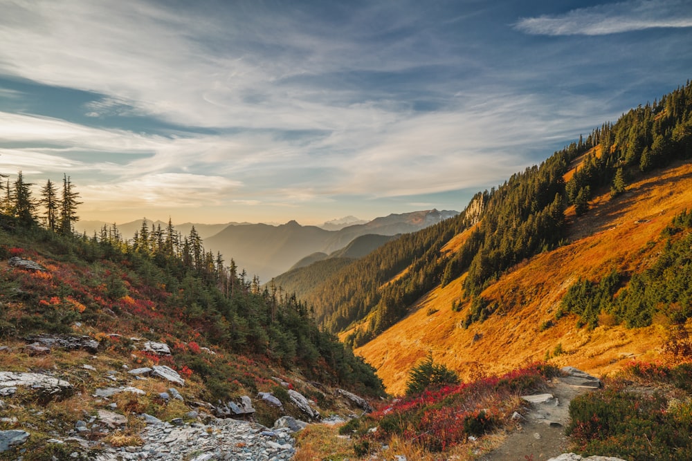 green and brown mountains under white clouds and blue sky during daytime