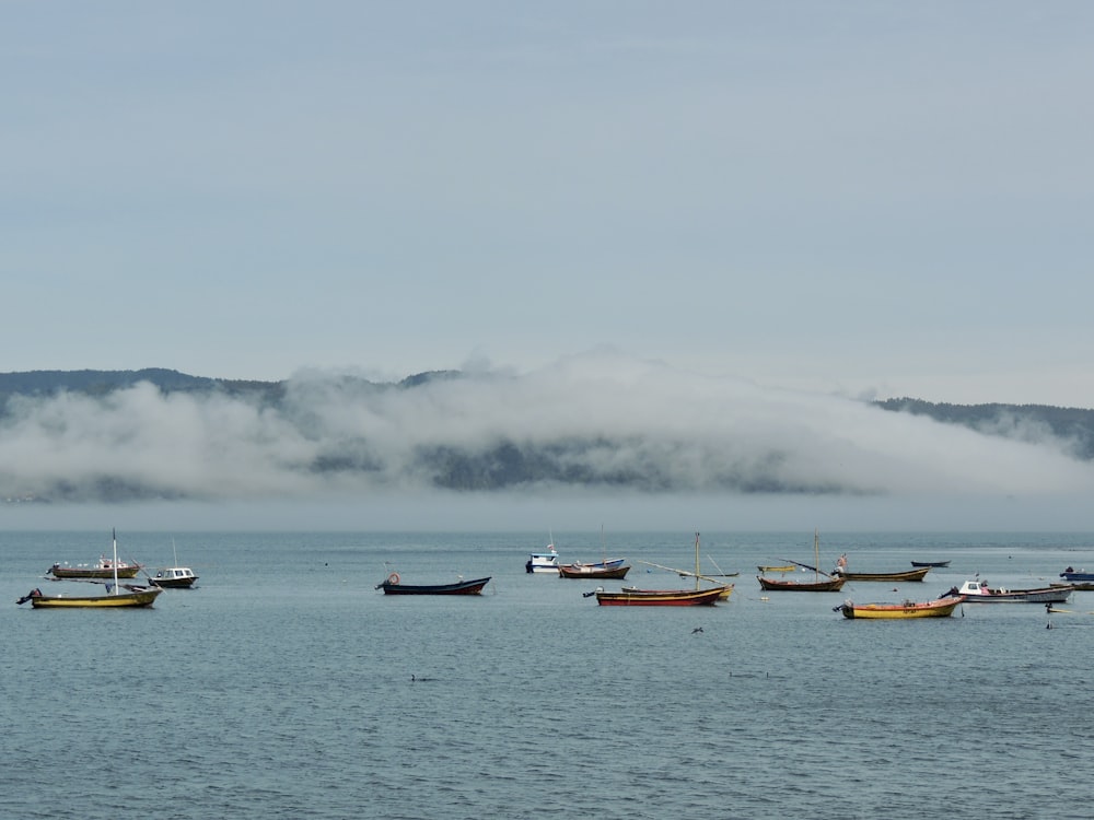 white and red boat on sea during daytime