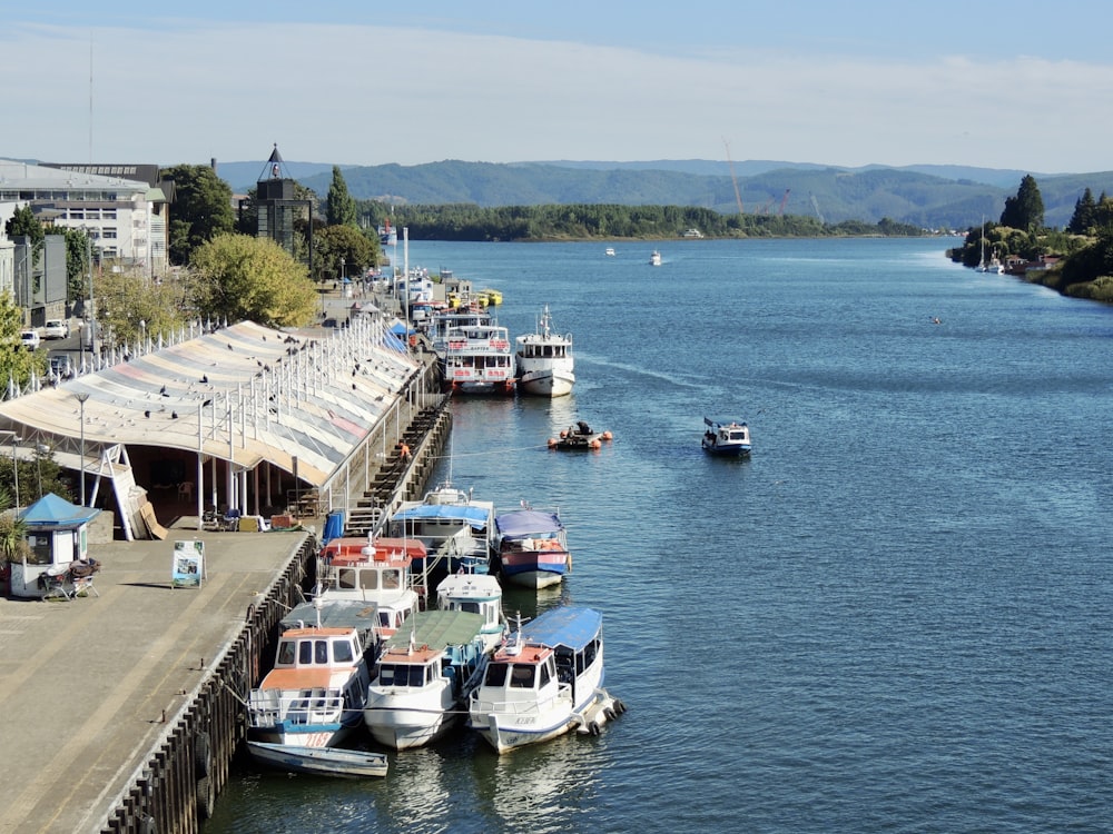 weißes und blaues Boot tagsüber auf See