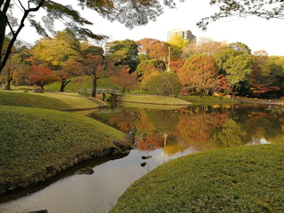 A serene pond reflecting autumn trees in a quiet Queens park.