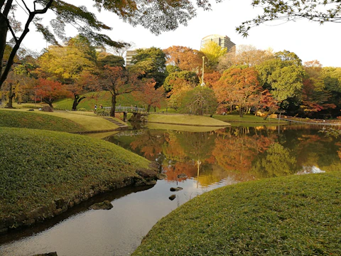 A serene pond reflecting autumn trees in a quiet Queens park.